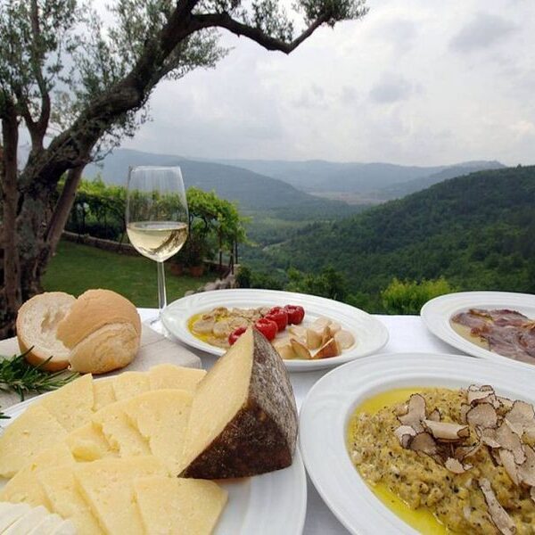 Food and wine tours