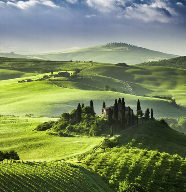 Tuscan Small Gems